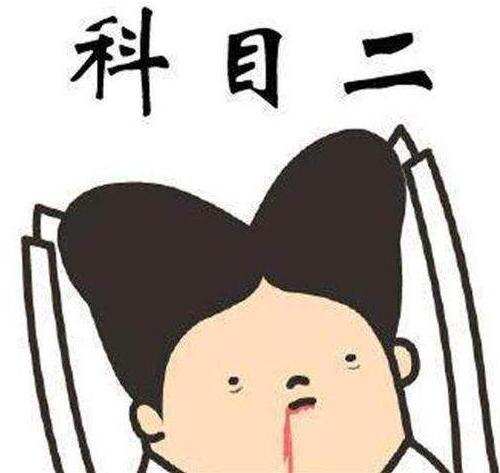 科二哪个项目最难